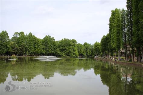 埼玉県発展場|【埼玉県】スポット